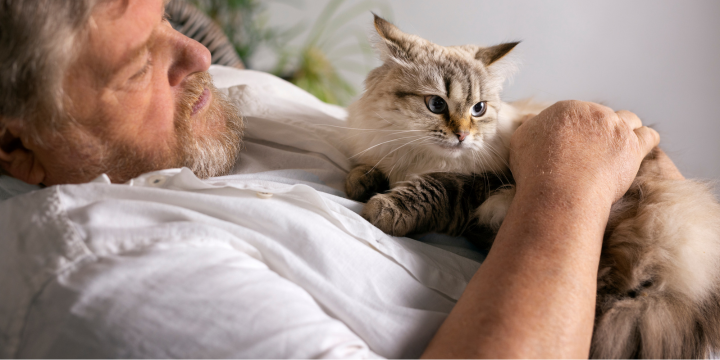 Katze liegt auf Bauch von einem Mann, der seinen rechtem Arm über sie legt